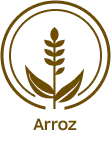 arroz